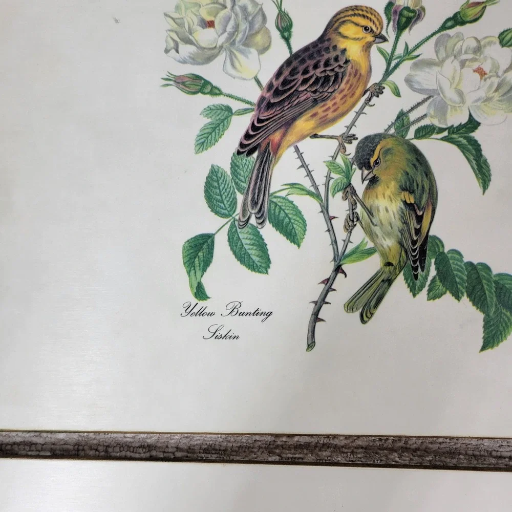 Vintage Lady Clare Luncheon Bird Placemats Felt Back Wood Cork England Set of 4